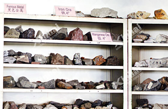 ore samples in mineral processing test.jpg